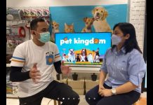 Pet Kingdom Jadi Pet Shop Terlengkap di Surabaya Petshop