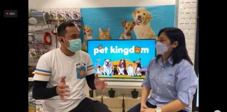 Pet Kingdom Jadi Pet Shop Terlengkap di Surabaya Petshop