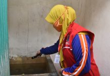 Cegah Penyebaran DBD, Pemkot Surabaya Memasifkan Gerakan PSN