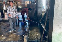 Pemkab Sidoarjo Uji Coba Eco Lindi untuk Hilangkan Bau Limbah Hewan Ternak