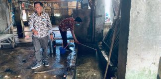 Pemkab Sidoarjo Uji Coba Eco Lindi untuk Hilangkan Bau Limbah Hewan Ternak