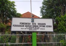 DKPP Surabaya Respons Cepat Cegah Masuknya Penularan Virus PMK