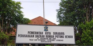 DKPP Surabaya Respons Cepat Cegah Masuknya Penularan Virus PMK