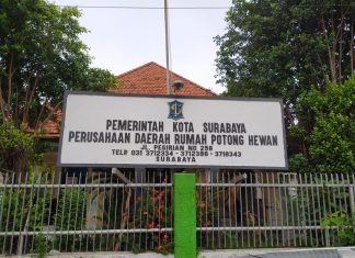 DKPP Surabaya Respons Cepat Cegah Masuknya Penularan Virus PMK