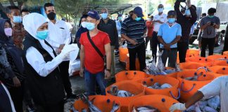 Nilai Tukar Nelayan di Jatim Naik, Gubernur Khofifah Apresiasi Kinerja Nelayan dan Pelaku Usaha Perikanan