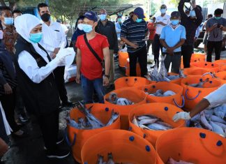 Nilai Tukar Nelayan di Jatim Naik, Gubernur Khofifah Apresiasi Kinerja Nelayan dan Pelaku Usaha Perikanan
