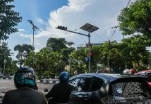 Persebaya Ulang Tahun ke-95, Pemkot Putar Anthem Persebaya di TL dan PCTL
