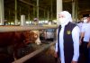Gubernur Khofifah Pastikan Hewan Kurban di Jatim Sehat, Stok Cukup Bahkan Surplus