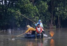 Dukung Wisata Sontoh Laut, Pemkot Surabaya Berdayakan Kampung Warna-Warni dan Mangrove Tambak Sarioso