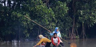 Dukung Wisata Sontoh Laut, Pemkot Surabaya Berdayakan Kampung Warna-Warni dan Mangrove Tambak Sarioso