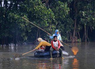 Dukung Wisata Sontoh Laut, Pemkot Surabaya Berdayakan Kampung Warna-Warni dan Mangrove Tambak Sarioso