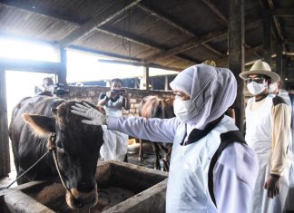 Pemprov Jatim Siapkan 1.276 Juru Sembelih Halal di Idul Adha 1443 H Tahun 2022
