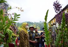 Gubernur Khofifah Siap Wujudkan Pengembangan Budidaya Anggrek Jatim Untuk Ekspor