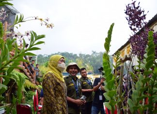Gubernur Khofifah Siap Wujudkan Pengembangan Budidaya Anggrek Jatim Untuk Ekspor