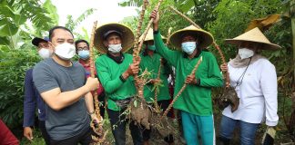 Manfaatkan Lahan Tidur, Cara Cerdas Pemkot Surabaya Hadapi Ancaman Krisis Pangan Global