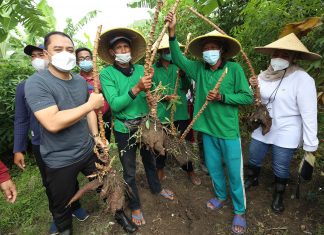 Manfaatkan Lahan Tidur, Cara Cerdas Pemkot Surabaya Hadapi Ancaman Krisis Pangan Global