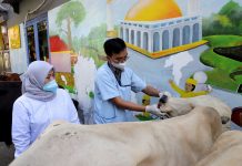 Pemkot Surabaya Terjunkan Tim Lakukan Pengecekan Kesehatan Hewan Kurban Sebelum dan Setelah Disembelih