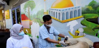 Pemkot Surabaya Terjunkan Tim Lakukan Pengecekan Kesehatan Hewan Kurban Sebelum dan Setelah Disembelih