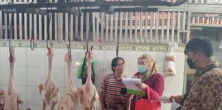 Antisipasi Flu Burung, DKPP Surabaya Ambil Sampel Unggas di Pasar Tradisional