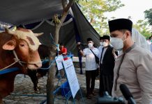Pastikan Hewan Kurban di Jatim Aman di Idul Adha 1443 H, Emil Berpesan Jangan Ragu Berkurban