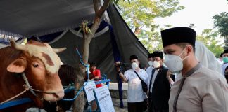 Pastikan Hewan Kurban di Jatim Aman di Idul Adha 1443 H, Emil Berpesan Jangan Ragu Berkurban