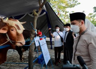 Pastikan Hewan Kurban di Jatim Aman di Idul Adha 1443 H, Emil Berpesan Jangan Ragu Berkurban