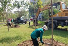 1000 Tanaman Ditanam Setiap Hari, Pemkot Ingin Buat Suasana Kota Surabaya Tetap Sejuk