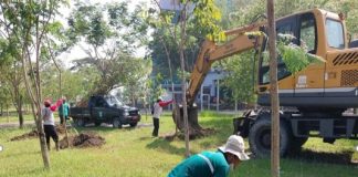 1000 Tanaman Ditanam Setiap Hari, Pemkot Ingin Buat Suasana Kota Surabaya Tetap Sejuk