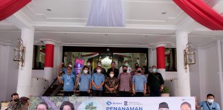 Dukung Konservasi Lingkungan, Pemkot Surabaya Terima 5000 Bibit Mangrove