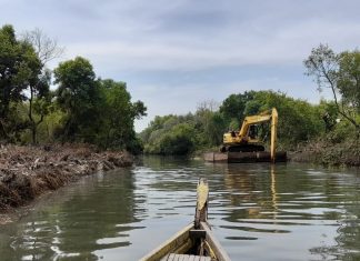 Pemkot Surabaya Lakukan Normalisasi Sungai di Kawasan Mangrove Wonorejo
