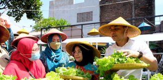 Pemkot Surabaya Jaga Ketahanan Pangan dan Gerakkan Ekonomi Warga Lewat Kampung Sayur