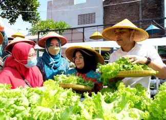 Pemkot Surabaya Jaga Ketahanan Pangan dan Gerakkan Ekonomi Warga Lewat Kampung Sayur