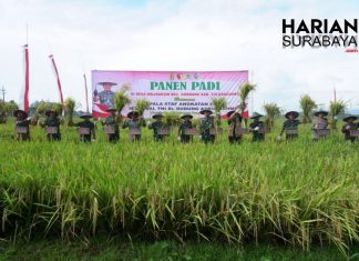 Pangdam V/Brawijaya Mendampingi Jenderal TNI Dr. Dudung Abdurachman Dalam Panen Raya Padi di Tulungagung Kasad Jendral TNI Dudung Abdurachman