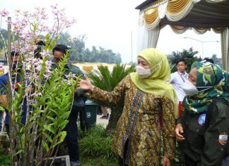 Hari Cinta Puspa dan Satwa Nasional, Gubernur Khofifah Ajak Masyarakat Tingkatkan Peduli, Lindungi dan Pelestarian Puspa dan Satwa Jatim Gubernur Jawa Timur