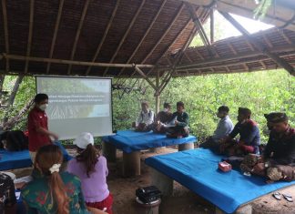 Aksi Bulan Cinta Laut, IOH Pastikan Kelestarian Mangrove Dapat Berpotensi Tingkatkan Ekonomi Masyarakat Jembrana Bali Indosat Ooredoo Hutchinson