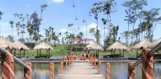 Sepuluh Desa Wisata Sabet Penghargaan di Festival Dewi Cemara Jatim Tahun 2022 Berita Jawa Timur