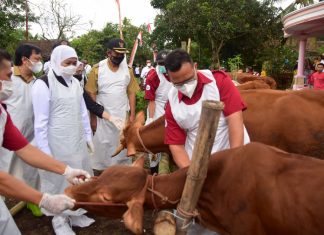 Cegah Penyebaran LSD, Gubernur Khofifah Minta Kepala Daerah Segera Lakukan Vaksinasi Sebagai Langkah Preventif Gubernur Jawa Timur