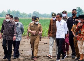 Dampingi Presiden Jokowi Tinjau Kebun Tebu Sekaligus Dialog dengan Petani Tebu, Wagub Emil: Jatim Merupakan Basis Pabrik Gula dan Basis Petani Tebu Emil Dardak