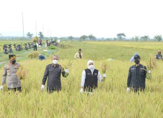 Gubernur Khofifah Apresiasi Surplus Beras Kabupaten Ngawi Tertinggi se Indonesia Saat Paceklik Panen Raya