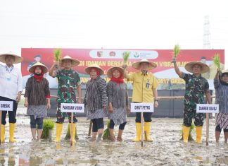 Pangdam V/Brawijaya Melaksanakan Tanam Padi Dalam Rangka Program Ketahanan Pangan Nasional di Kabupaten Gresik