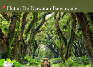 Liburan Pergantian Tahun Baru 2023, Gubernur Khofifah Ajak Warga +62 Healing ke Jawa Timur