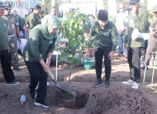 Gerakan Penanaman Sejuta Pohon Pada Momentum HMPI 2022, Gubernur Khofifah: Niatkan Sedekah Oksigen Sebagai Deposit Bagi Generasi Mendatang Gubernur Jawa Timur