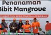 Bentuk Bakti untuk Bumi, Cleo Tanam 5000 Bibit Pohon di Ecowisata Mangrove Lingkungan
