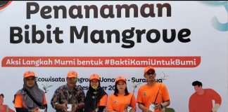 Bentuk Bakti untuk Bumi, Cleo Tanam 5000 Bibit Pohon di Ecowisata Mangrove Lingkungan