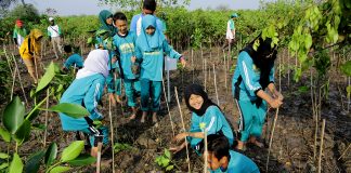 Surabaya Kota Pertama di Indonesia Penerima Wetland City Accreditation Mangrove Surabaya