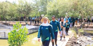 Hutan Mangrove Jatim Terluas di Pulau Jawa dengan Total 27.221 Hektar (48 %), kata Gubernur Jawa Timur Tahun 2023 akan Diperluas Lewat Festival Mangrove Hutan Mangrove Jatim Terluas di Pulau Jawa dengan Total 27.221 Hektar (48 %), kata Gubernur Jawa Timur Tahun 2023 akan Diperluas Lewat Festival Mangrove