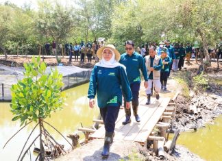 Hutan Mangrove Jatim Terluas di Pulau Jawa dengan Total 27.221 Hektar (48 %), kata Gubernur Jawa Timur Tahun 2023 akan Diperluas Lewat Festival Mangrove Hutan Mangrove Jatim Terluas di Pulau Jawa dengan Total 27.221 Hektar (48 %), kata Gubernur Jawa Timur Tahun 2023 akan Diperluas Lewat Festival Mangrove