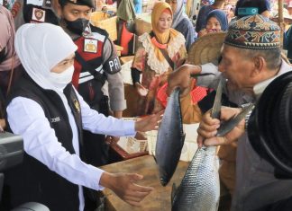 Nilai Tukar Petani (NTP) dan Nilai Tukar Nelayan (NTN) Jatim Alami Kenaikan di Bulan Desember, Gubernur Khofifah Sebut NTP Tertinggi Selama 2018 – 2022 Gubernur Jawa Timur