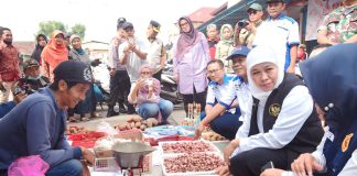 Blusukan ke Dua Pasar di Mojokerto, Gubernur Khofifah Pastikan Stok Bahan Pokok Aman Hingga Lebaran Blusukan ke Dua Pasar di Mojokerto, Gubernur Khofifah Pastikan Stok Bahan Pokok Aman Hingga Lebaran, Harga Bahan Pokok Terpantau Stabil di Bawah HET
