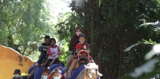 Libur Lebaran, Kunjungan Wisatawan ke KBS Tembus Hingga 15 Ribu Libur Lebaran, Kunjungan Wisatawan ke KBS Tembus Hingga 15 Ribu